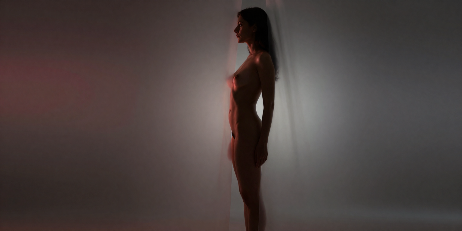 fictional consenting adult woman age 31 in a tasteful artistic nude silhouette behind translucent drapery, full-body